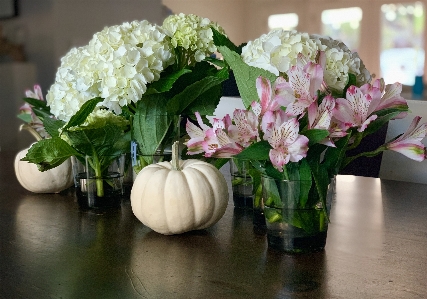 Autumn table flowers flower Photo