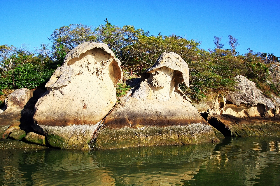 韩国 rock 水 编队