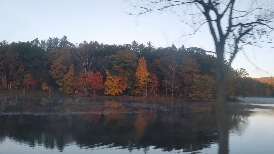 Autumn colours threes lake