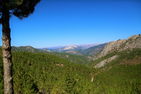 Mountains nature green forest Photo