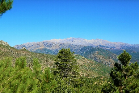 Mountains nature green forest Photo