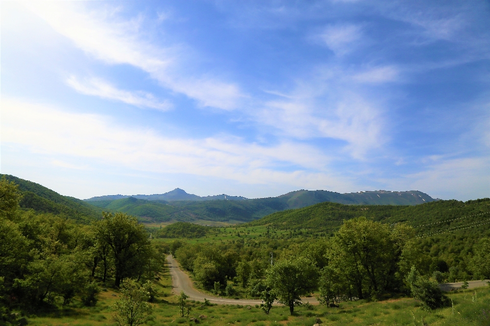 Mountains nature green forest