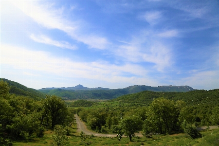 Mountains nature green forest Photo