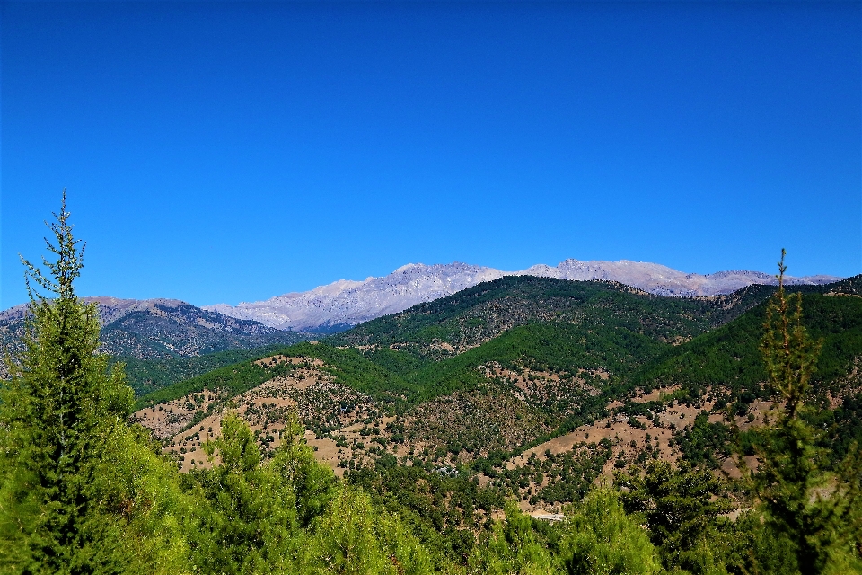 Mountains nature green forest