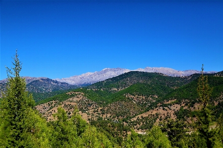 Mountains nature green forest Photo