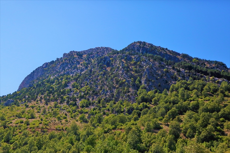 Montanhas natureza verde floresta