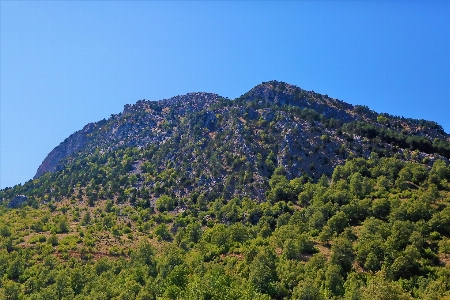 Mountains nature green forest Photo