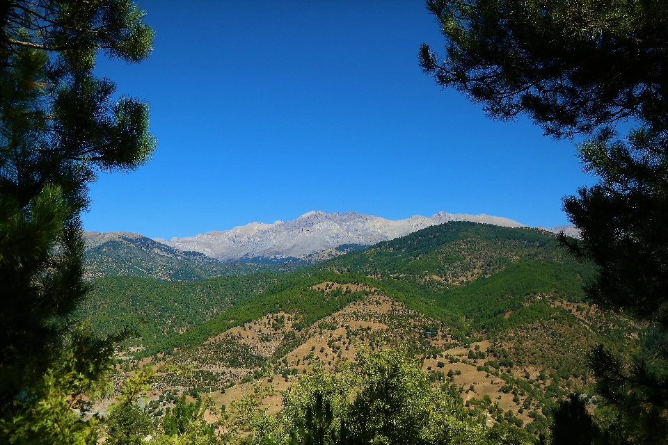 Mountains nature green forest