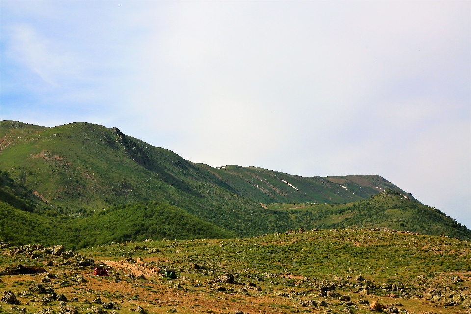 Mountains nature green forest