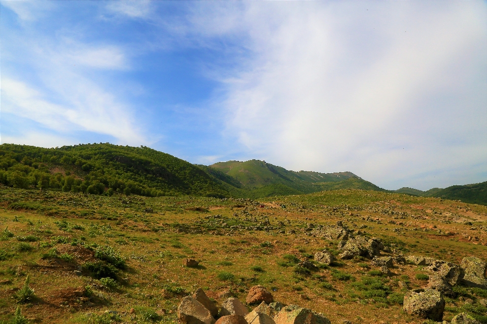 Mountains nature green forest