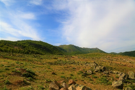 Mountains nature green forest Photo