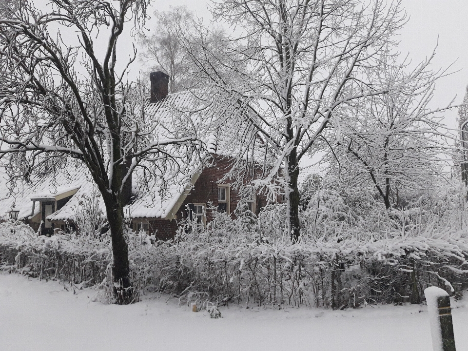 Inverno neve holanda antiga fazenda
