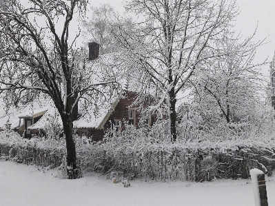 Zdjęcie Zima śnieg holandia stare gospodarstwo
