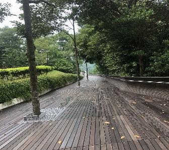 Wave wooden path treetop natural landscape Photo