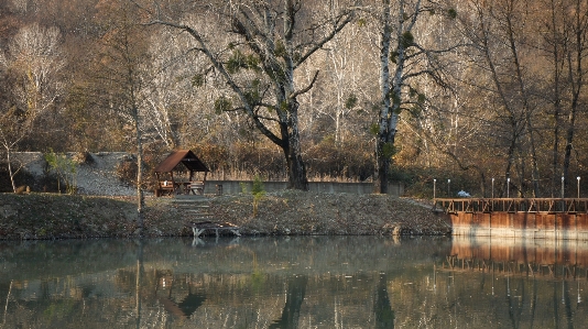 Lake house lodge trees Photo