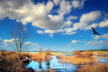 Natural sky landscape nature Photo