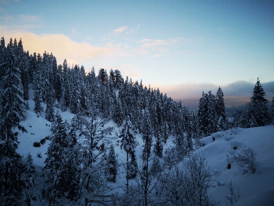 Swiss switzerland winter landscape Photo