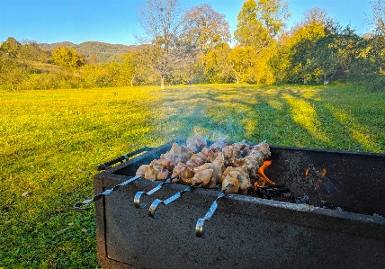 Photo Barbecue feuille jaune automne