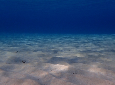 Underwater sardenha sand sub aquatic Photo