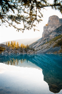 Tree reflection body of water nature Photo