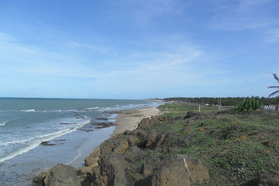 ビーチ ブラジル 水域
 海岸