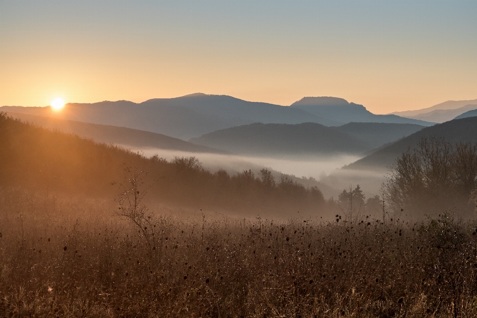 Morning fog sun sky