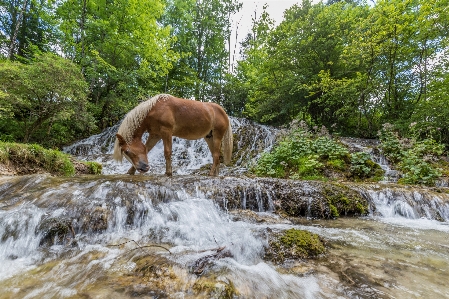 馬 滝 水 水域
 写真