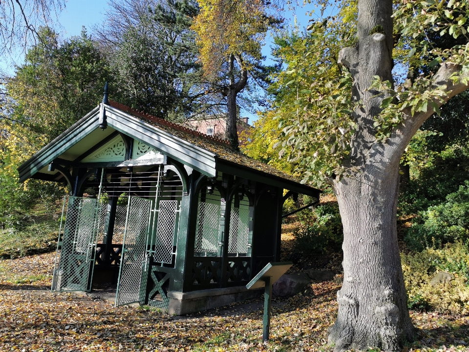 Parque casa árbol propiedad