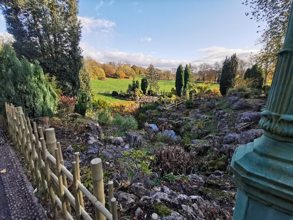 Japanese garden nature natural landscape