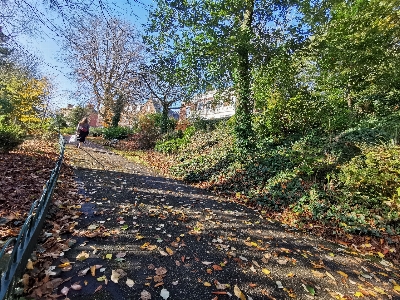 Path park leaf tree Photo