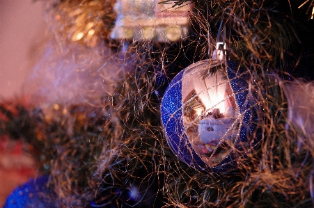 Photo Noël lumière décoration de noël
 arbre