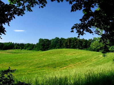 Field natural landscape grassland green Photo