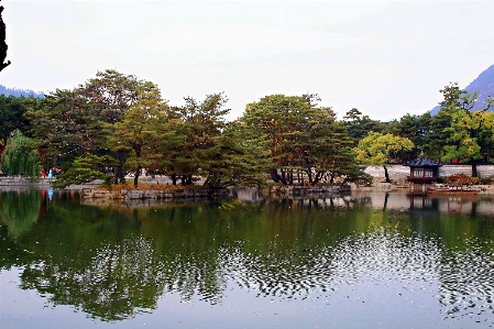 Autumn korea body of water nature Photo