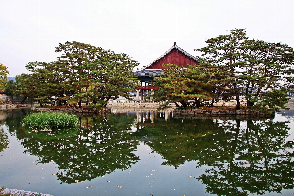 秋天 韩国 中国建筑
 反射