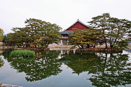 Autumn korea chinese architecture reflection Photo