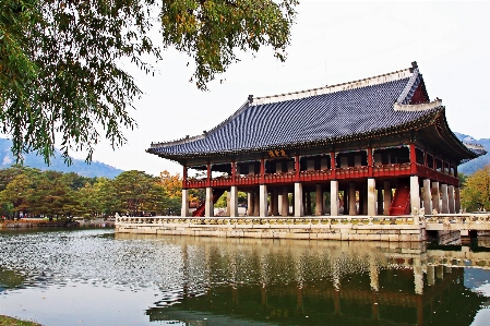 Autumn korea chinese architecture japanese Photo