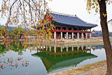 Autumn korea chinese architecture reflection Photo