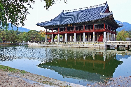 Autumn korea chinese architecture japanese Photo