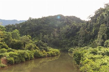 Mountains rivers trees green Photo