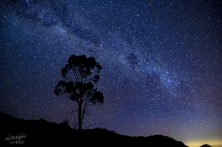 Alcasqui astrophotography stars constellations Photo