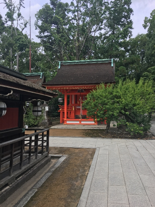 日本 寺 礼拝の場
 神社