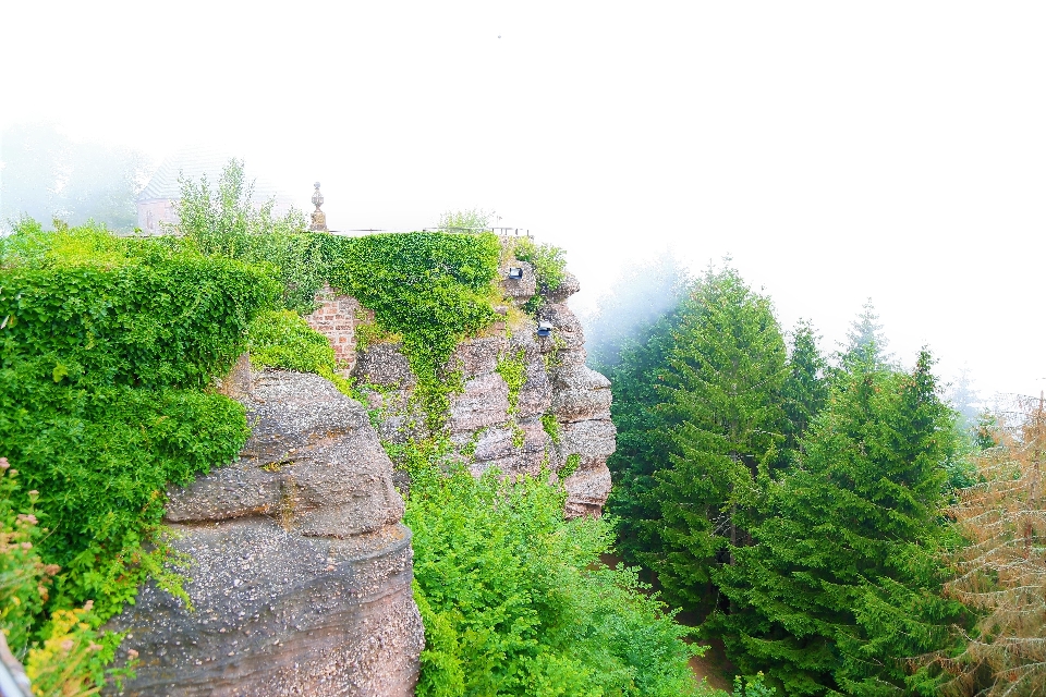 şehir binalar turizm tarihi