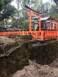 Japanese shrine torii temple Photo