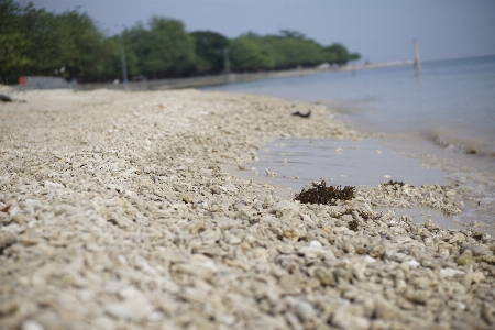 Sea beach shore sand Photo