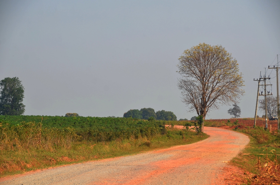 Long chemin campagne route