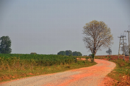 Long path countryside road Photo