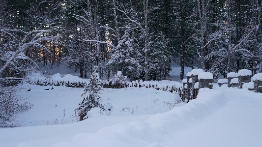 Photo Hiver pont neige soir