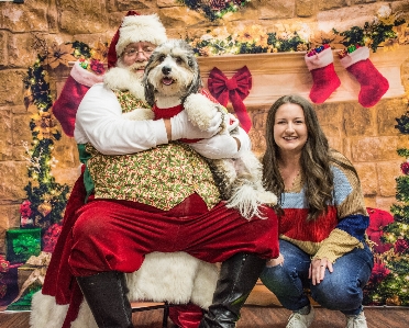 Poodle happy santa dog Photo