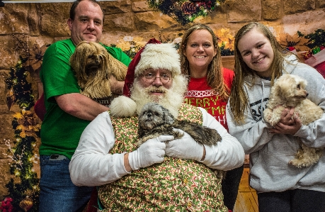 Foto Natal anjing santa senang