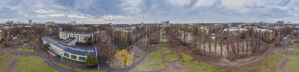 Tree panorama land lot photography